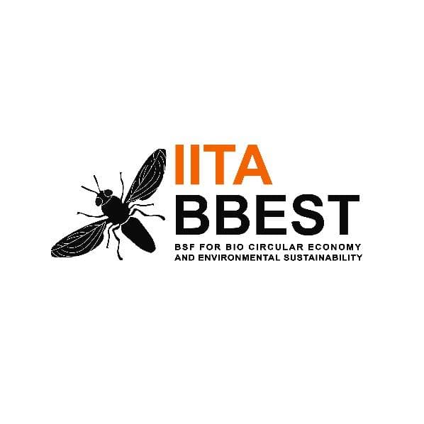 IITA BBEST Logo