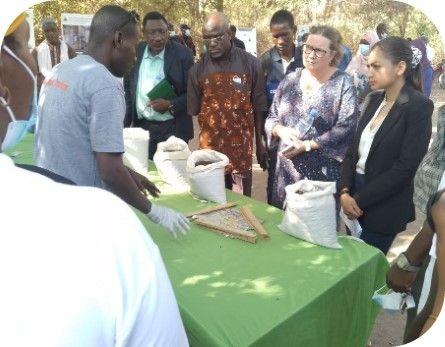 IITA BBEST showcases agricultural innovations during H.E Rigmor Elianne Koti’s visit.