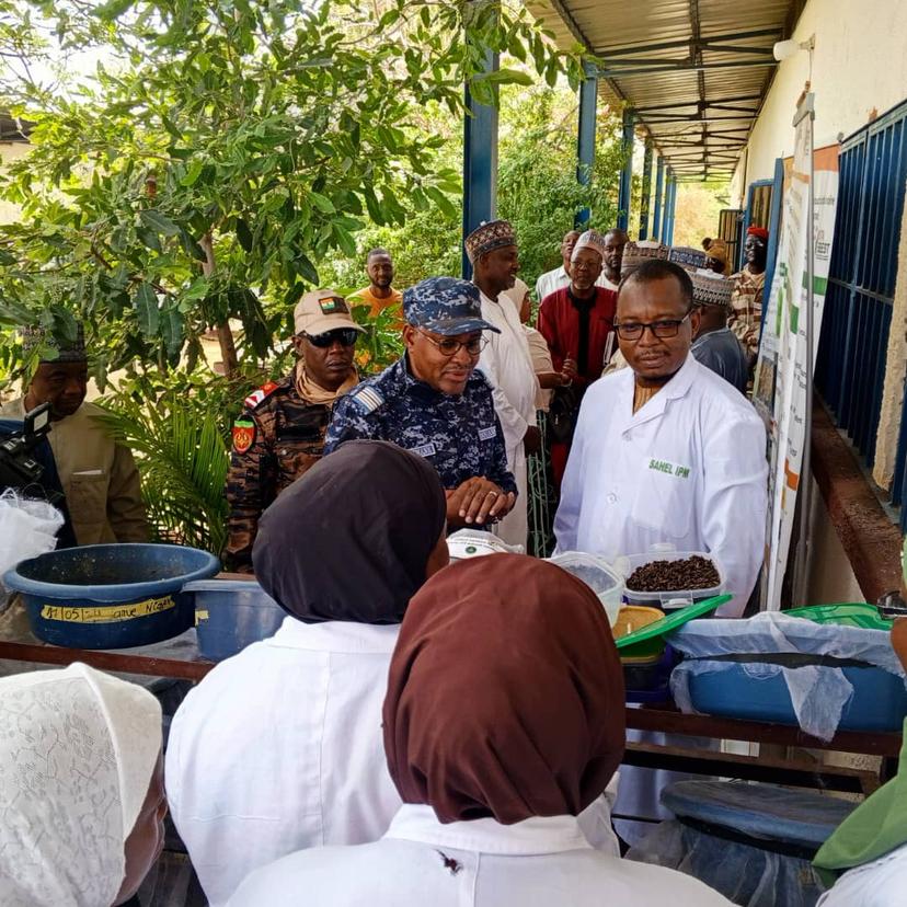The Minister of Livestock and Agriculture explored the Production of the BSF at INRAN Maradi.