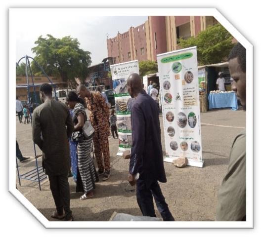 Showcasing BBEST Project Activities in Mali: A Platform for Technological Advancement