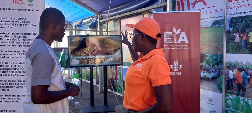 IITA BBEST partakes in the 38th edition of the National Farmer's Day celebration.